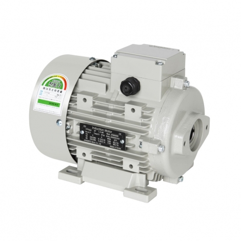 Hydraulic Three-Phase Induction Motor D Type
